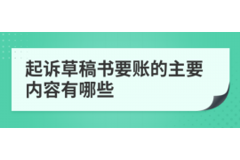 麻山麻山的要账公司在催收过程中的策略和技巧有哪些？